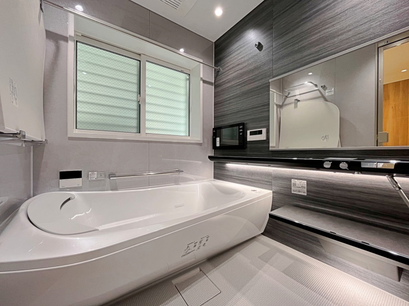 Luxsis 御嶽山 Vol.4